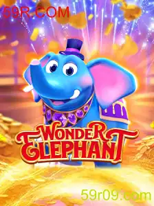 WonderElephant: Descubra o Jogo que Está Conquistando o Mundo
